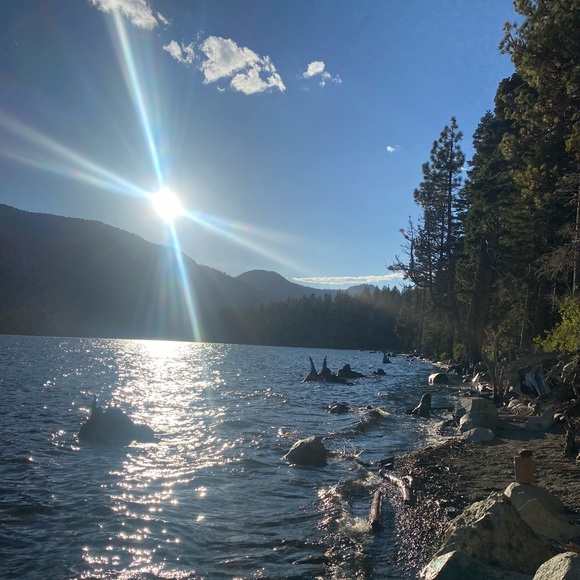 Meet your Posher, Alexa - Picture 1 of 1